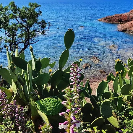 Cap Esterel Pierre Et Type 3 , 2 Rez De Jardin Cloture ,vue ,inclus Climatisation Place De Stationnement , Acces Aux Piscines ,animations